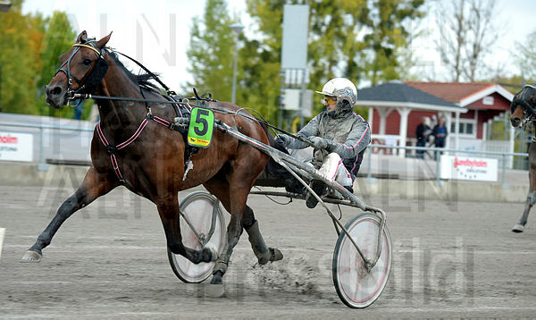 Fauntleroy mål.t5da0925a.m600.w.4salnwmark2.png.xDOcSK3-8.jpg
