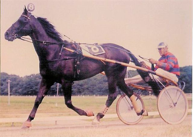 Usta Hanover.jpg