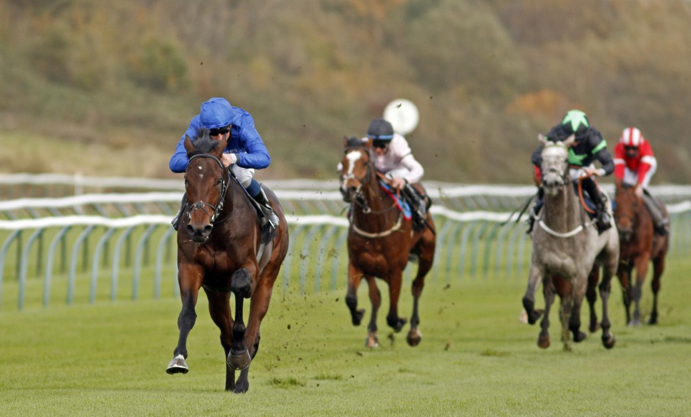 Adayar - 1st - Maiden Stakes - Nottingham, UK - 28 October 2020 racingfotos_64003334396_1 (1).jpg