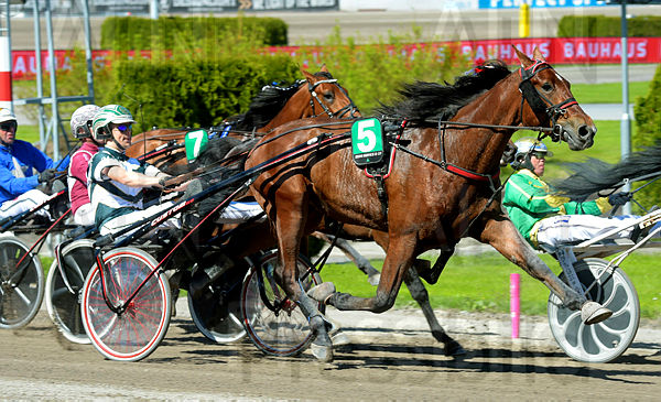 Love You Too kurv, upplopp.t60b3eab3.m600.w.4salnwmark2.png.x_aoeHWce (1).jpg