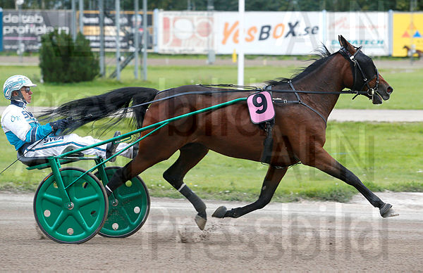 Ain't Misbehavin heat 1.t61800b03.m600.w.4salnwmark2.png.xkiG8HpeV.jpg