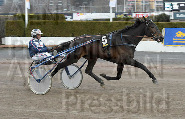 Dorothea Mil heat.t624de4e2.m600.w.4salnwmark2.png.xscYSUetd.jpg