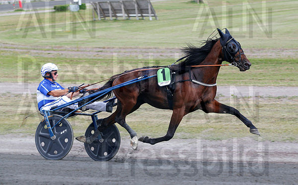 Aragorn As heat 1.t61373c68.m600.w.4salnwmark2.png.xkFH_izFe.jpg