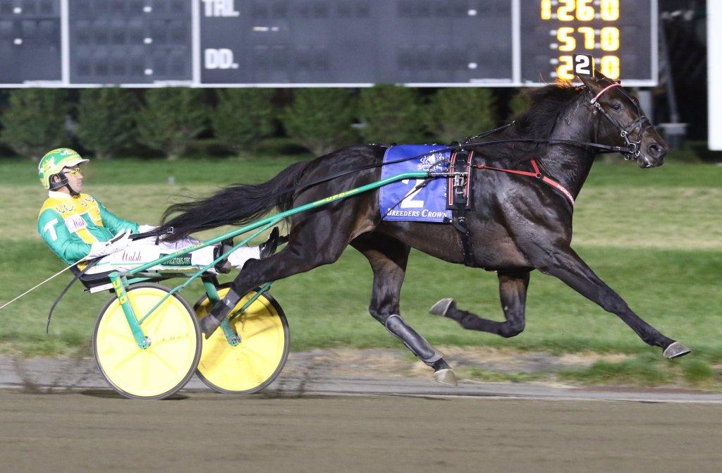 Walner_BreedersCrown_161029.jpg