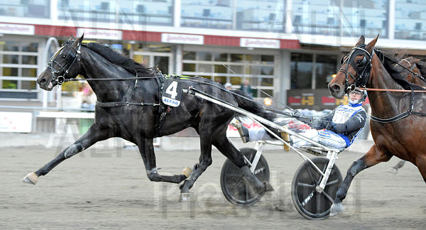 Red Rum mål 2.t627aa501.m600.w.4salnwmark2.png.xmp43a8pY.jpg