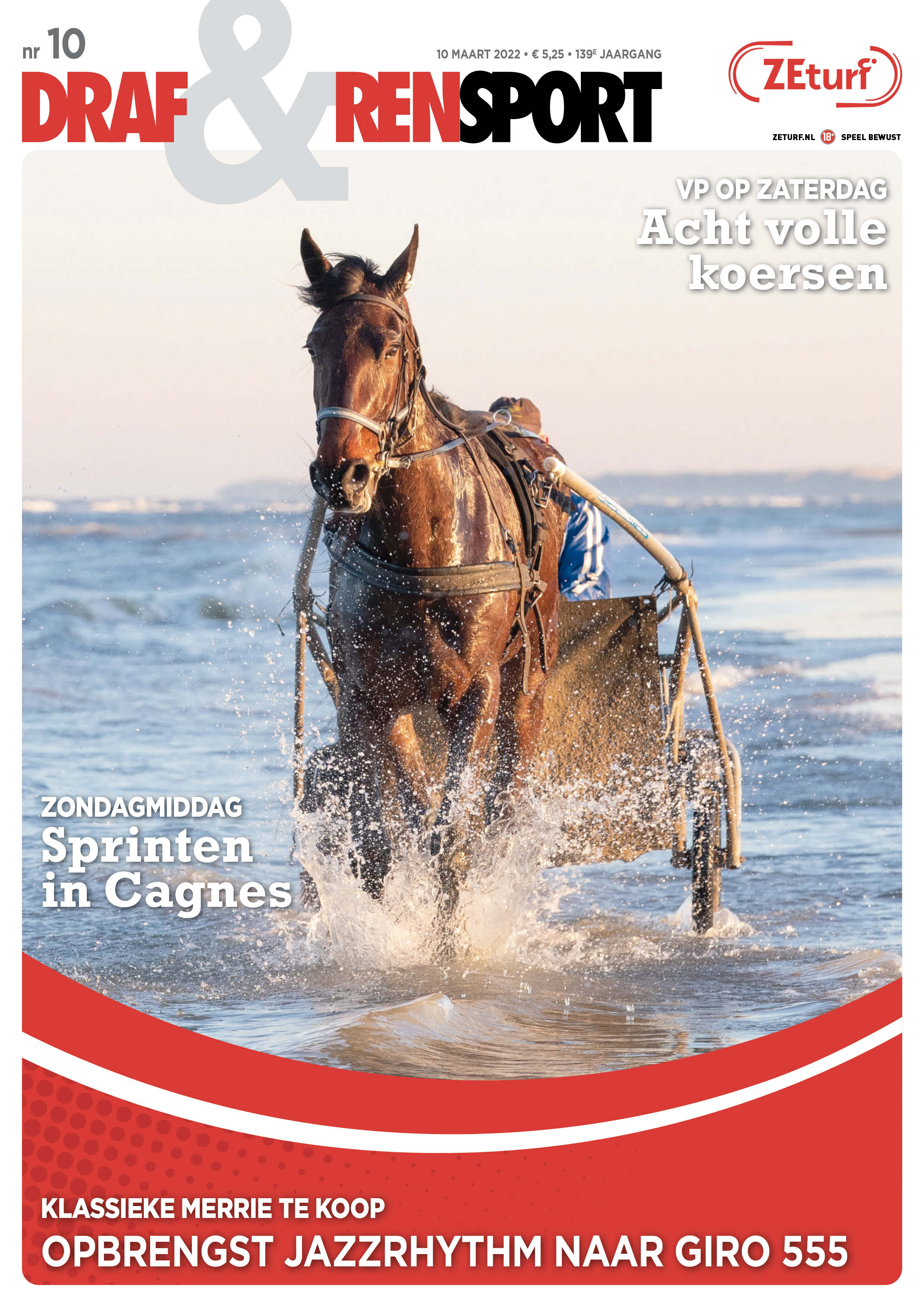 Lovely Arctic Cover paardenkrant met Henk.jpg