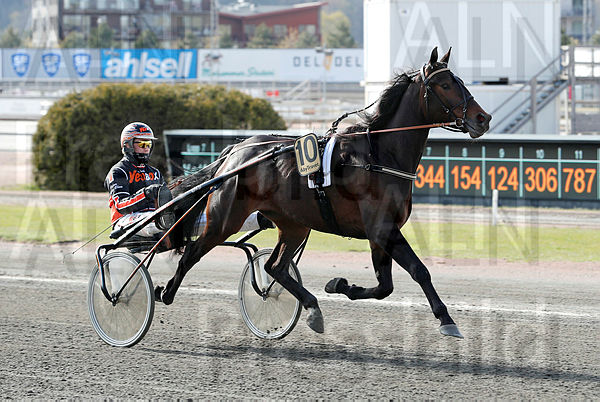 Hombre D. heat 1.t609e8288.m600.w.4salnwmark2.png.x_Kemc92E.jpg