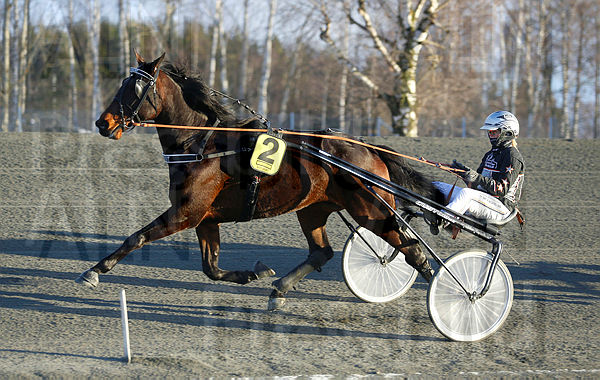 No Doubt heat 1.t61b9b77d.m600.w.4salnwmark2.png.xGOiOb2_P.jpg