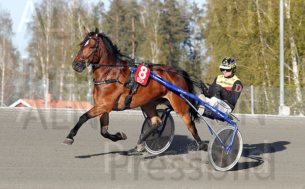 Stjärnblomster heat 1.t62aa2054.m600.w.4salnwmark2.png.xLGbnKVF4.jpg