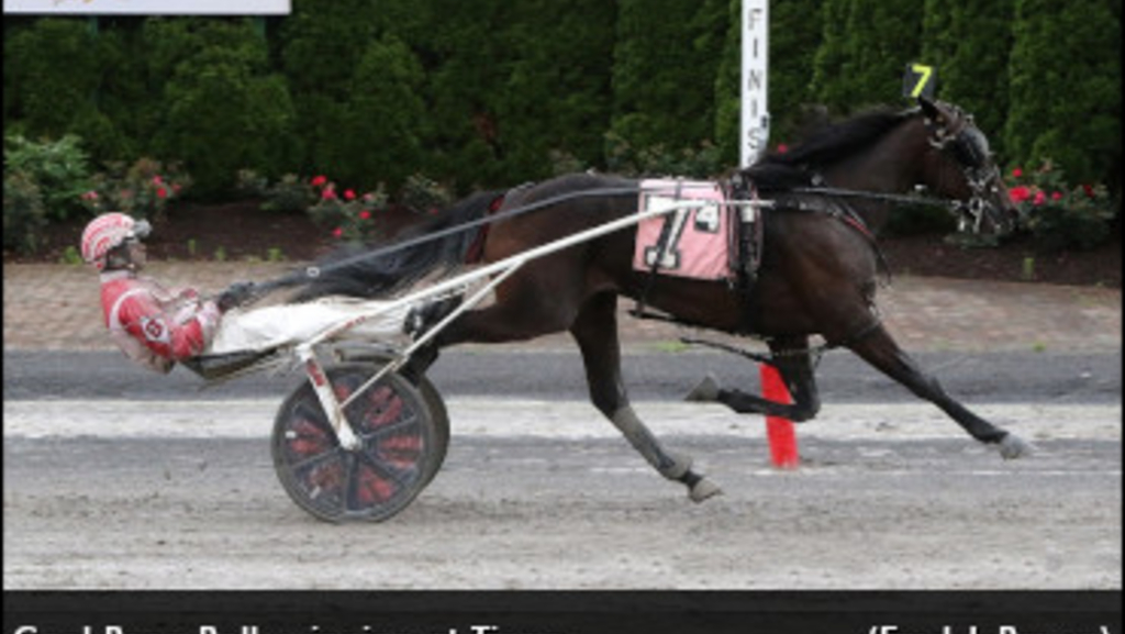 Cool-Papa-Bell-Tioga-370px.jpg