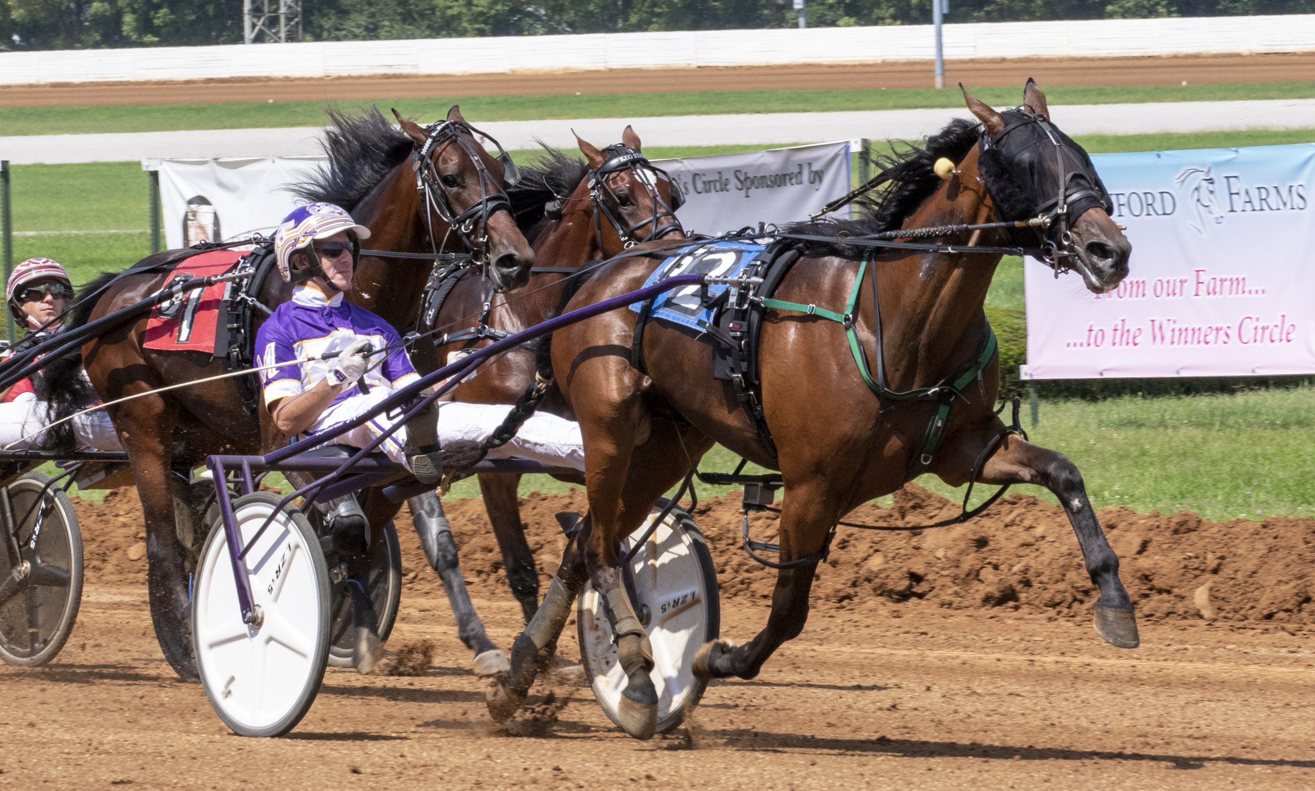 race-6.-scaled.jpg