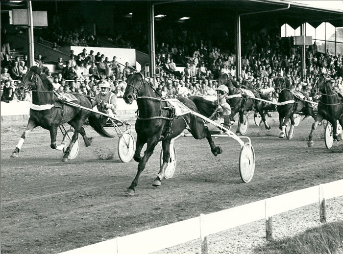 Tindemans W 30-6-84.jpg