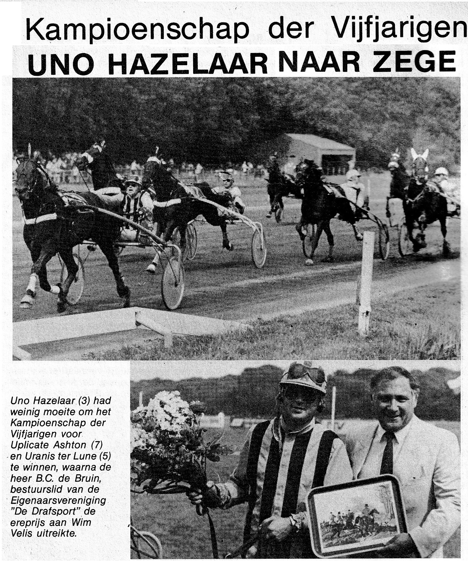 31 Juli 2.jpg