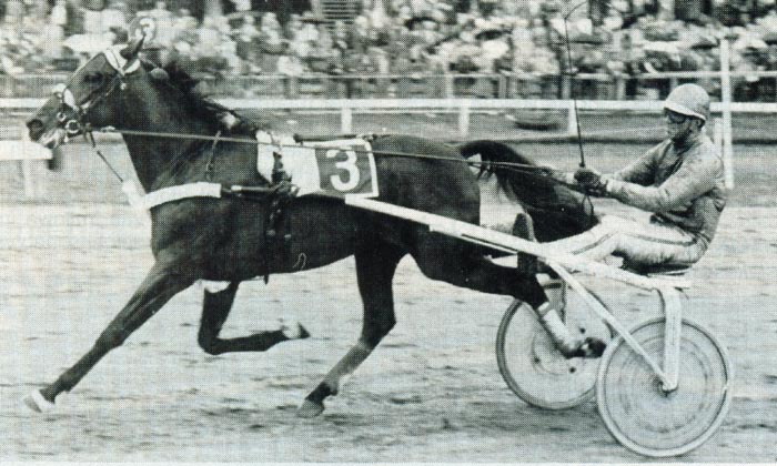 Ysvink K.jpg