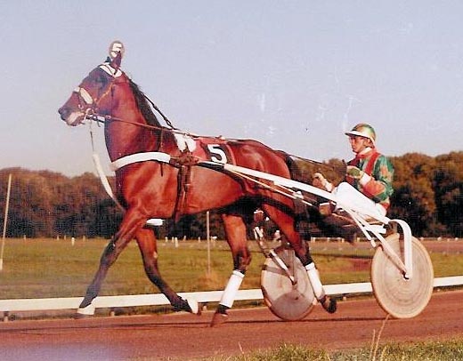Ysvink K 01.jpg