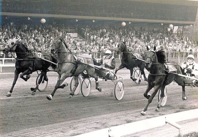 Scotch Oostwyck wint (1).jpg
