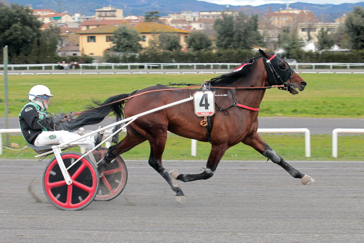 Cralgido-Sm-1536x1025.jpg