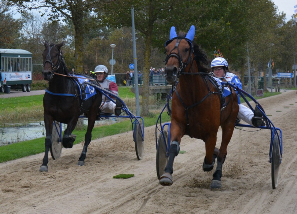 Southwind-Raptor-Columbine-Lep-kortebaan-uitgelicht.jpg