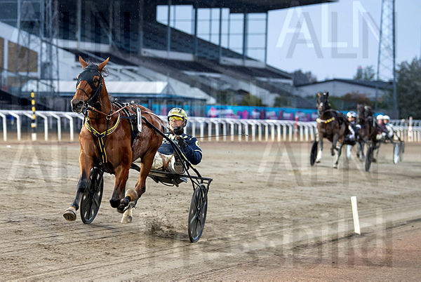 Hidalgo Heldia målgång.t627d017b.m600.w.4salnwmark2.png.x-NvEyoTn.jpg