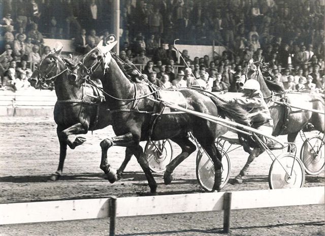 Sebastiaan 17-5-81.jpg