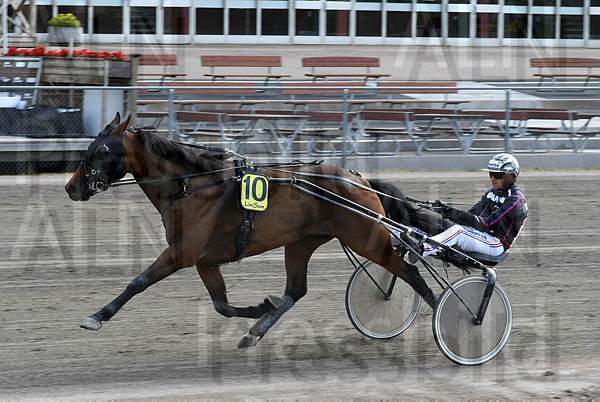 Lord Horse mål DSC_9223.t5eff905c.m600.w.4salnwmark2.png.xg0YuhcAc.jpg