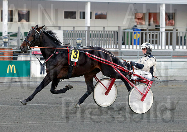 Joe Dalton heat.t622faccf.m600.w.4salnwmark2.png.xBPSttL77.jpg