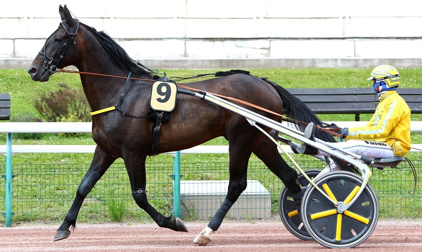 Earl Simon_Aprh_opt_opt.jpg