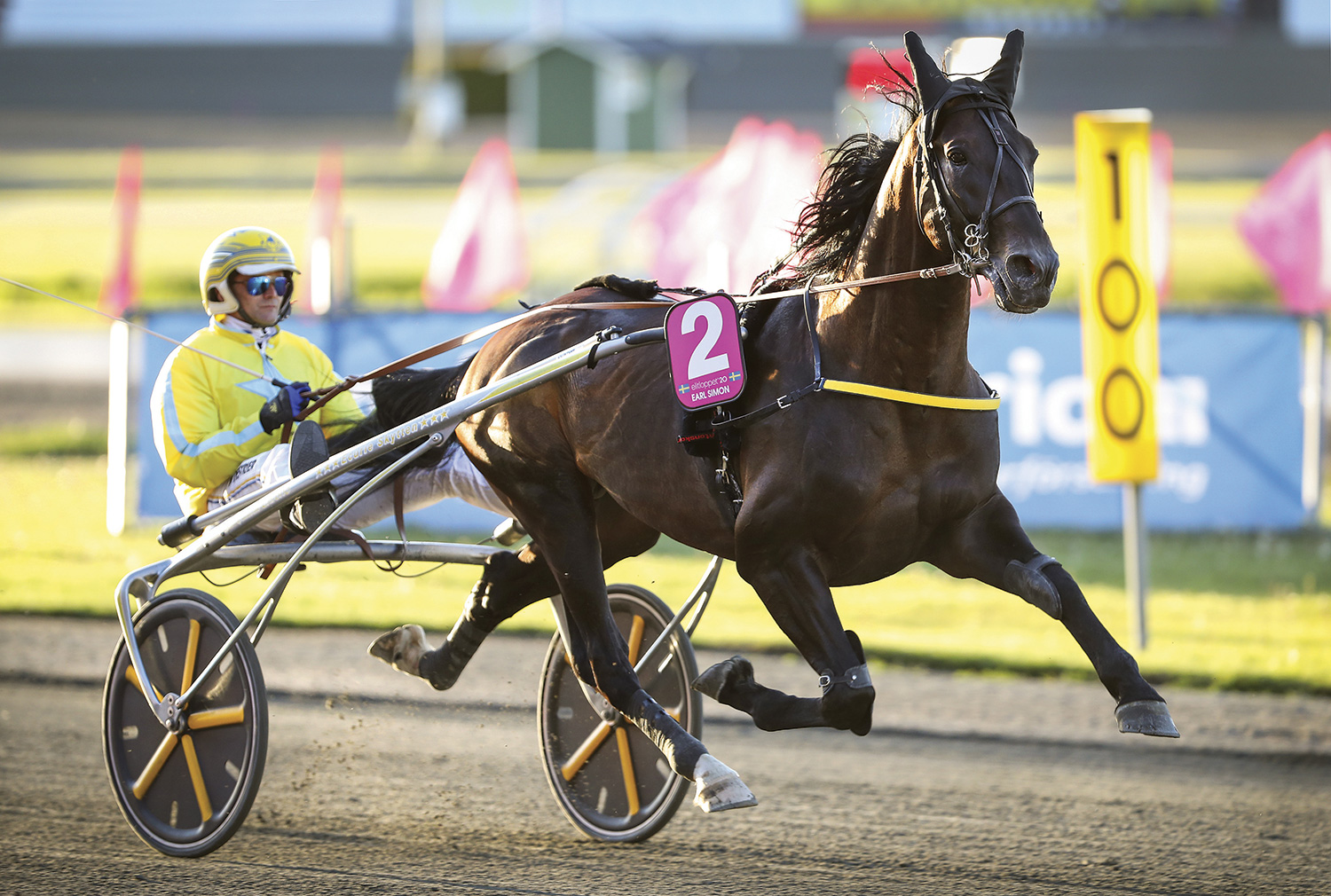 EARL-SIMON-Mia-TORNBERG---eqqulea.se.jpg
