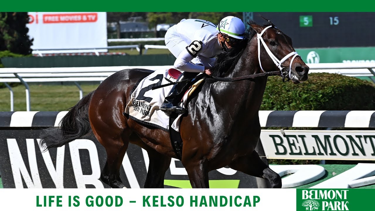 maxresdefault (49).jpg