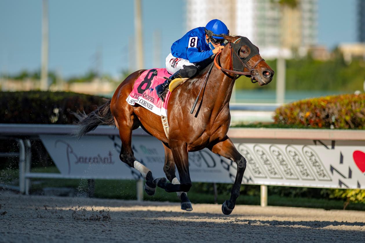 Speaker's Corner - 1st - G3 Fred W. Hooper Stakes - Gulfstream Park, USA - 29 January 2022.jpg