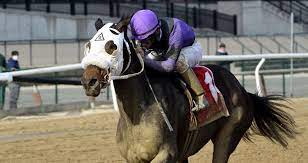 download - 2022-08-16T133547.969.jpg