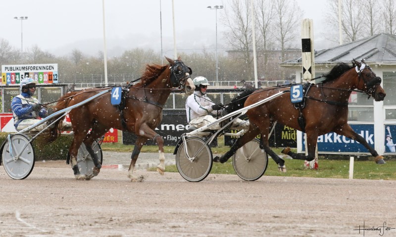 Eenymeenyminymoe-210411.jpg