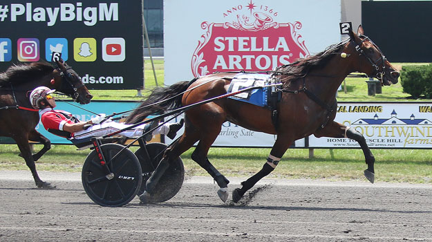 wb080622r3-Bella-Bellini-2.jpg