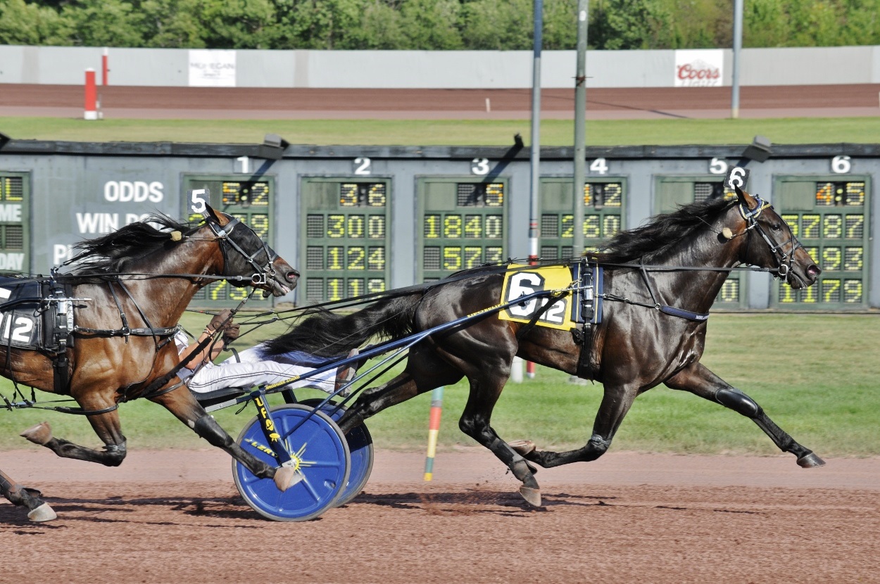 Curtis-Salonick-photo-Temporal-Hanover-Beal-PCD-SAT-082022.jpg