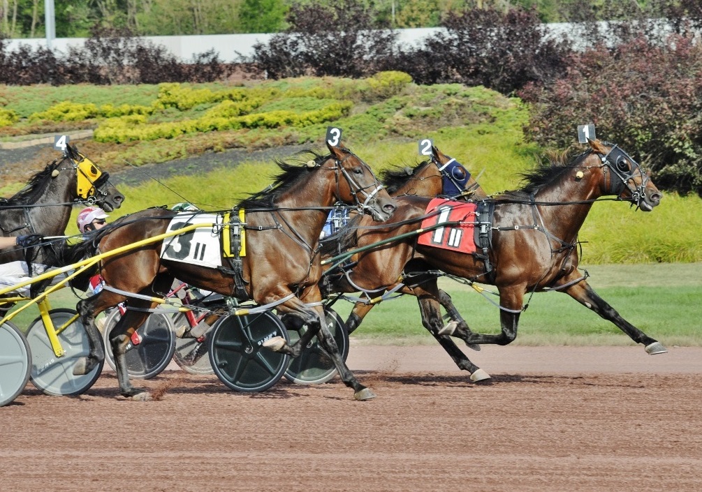 8-20-22-Beach-Glass-winning-the-300000-Max-Hempt-Pace-Curtis-Salonick-Photo.jpg