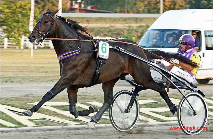 Orlando-Jet-bittet-zum-3200-Meter-Tanz.jpg