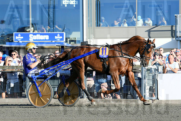 Moni Viking heat.t62f7f988.m600.w.4salnwmark2.png.xRMjSsFGB (1).jpg