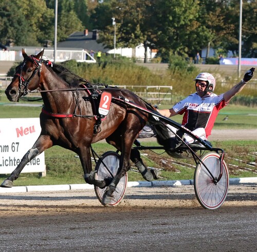 robin-bakker-deutsches-traber-derby.jpg