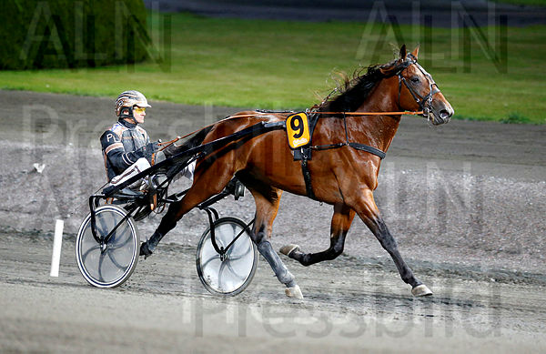 Staro Obrigado heat 1.t5fac3c92.m600.w.4salnwmark2.png.xLK8jbB9- (1).jpg