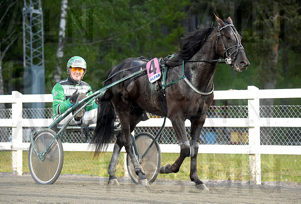Castor the Star def.t60ae3099.m600.w.4salnwmark2.png.x2DT4NWkz (1).jpg
