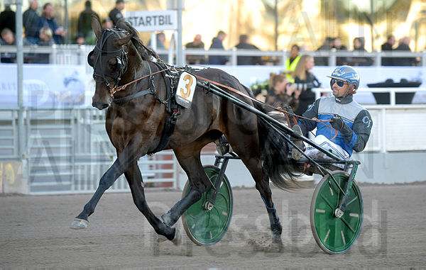 Isabelle Cash heat 2.t615041bd.m600.w.4salnwmark2.png.xz7zgGaOZ.jpg