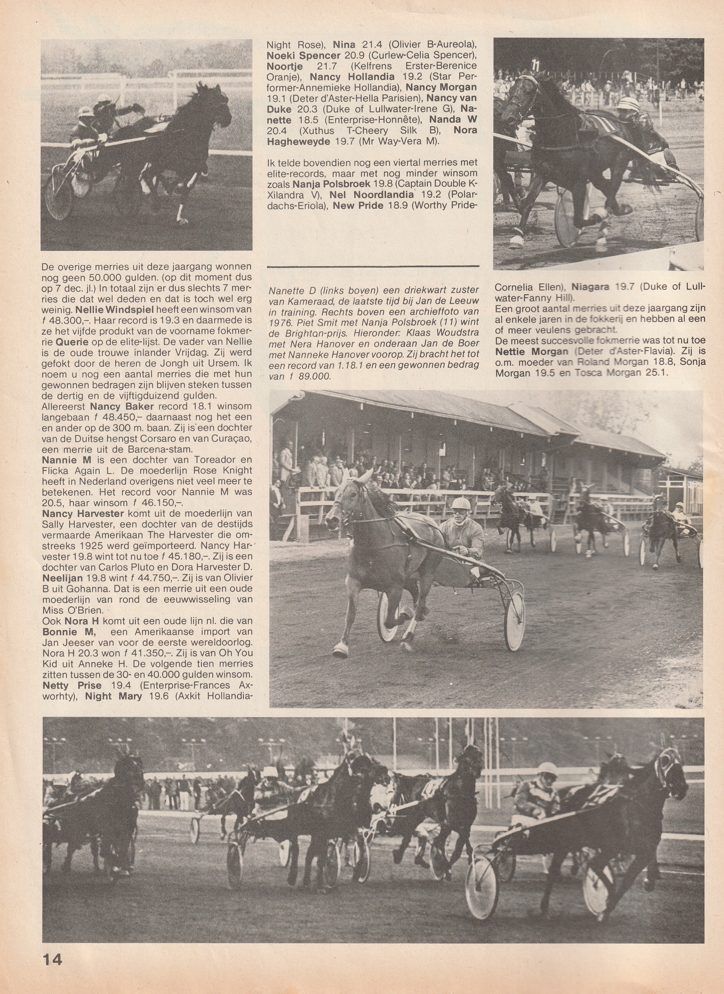 N jaargang 1980  5.jpg