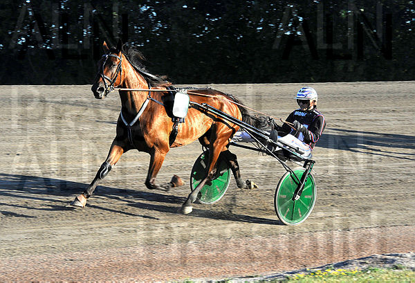 Senorita Tokio heat.t6305eff8.m600.w.4salnwmark2.png.xn_EEI5qF.jpg