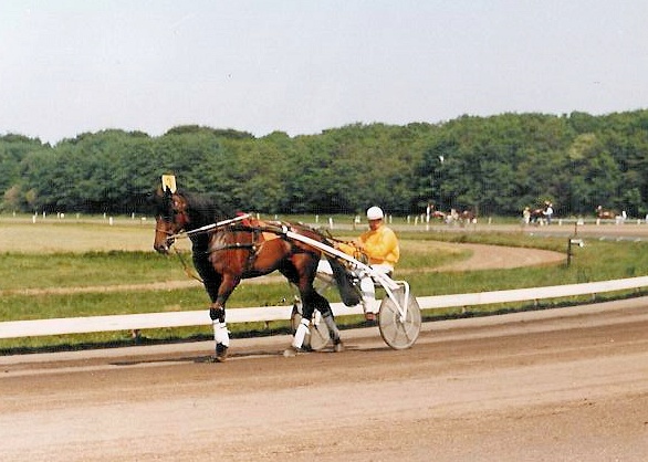 Velino Majo 01.jpg