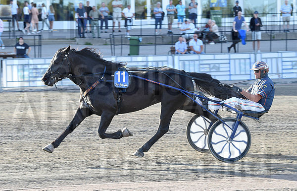 Alm Randers heat.t62ece55e.m600.w.4salnwmark2.png.x46Ix950z.jpg