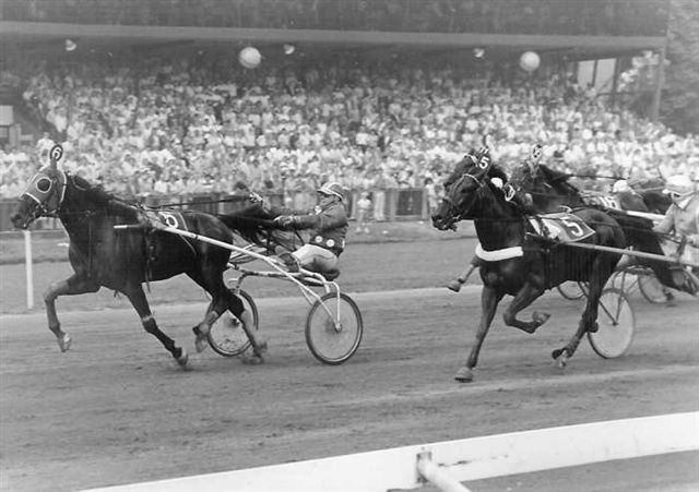 Derby 82 Vancouver Cede.jpg