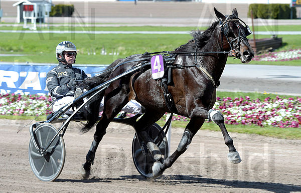 Chico de Calamar heat.t627e6f9f.m600.w.4salnwmark2.png.x4ZbKpmrN.jpg