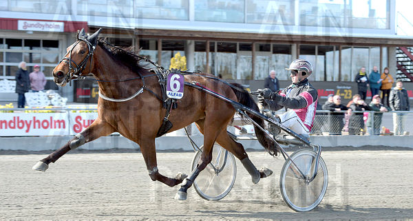Lilian Young mål (2).t62598473.m600.w.4salnwmark2.png.xEb_EVE5- (1).jpg