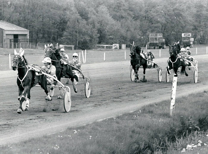Zeres Boszorg Sprinters 5j a.jpg