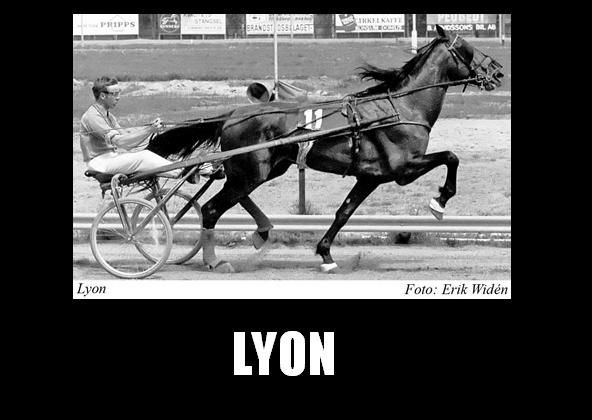 Lyon--1-.jpg